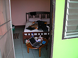 2007年タイの旅 写真