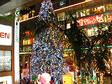 2007年タイの旅 写真