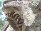 2008 年越し旅行 写真